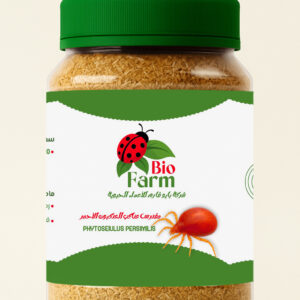 ChatGPT Image Oct 15, 2025, 08_39_52 P copy