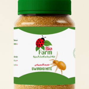 ChatGPT Image Oct 15, 2025, 08_39_52 PM copy